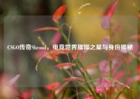 CSGO传奇Shroud，电竞世界璀璨之星与身份揭秘