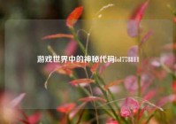 游戏世界中的神秘代码lol778811