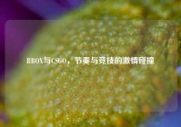 BBOX与CSGO，节奏与竞技的激情碰撞