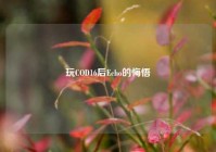 玩COD16后Echo的悔悟
