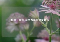 惊喜！PUBG 可免费直接登录畅玩