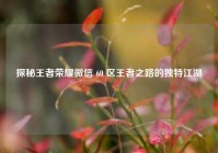 探秘王者荣耀微信 60 区王者之路的独特江湖
