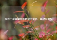 探寻王者荣耀高级名字的魅力、奥秘与类型