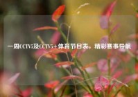 一周CCTV5及CCTV5+体育节目表，精彩赛事导航