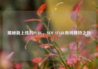 揭秘新上线的PUBG，NEW STATE有何独特之处