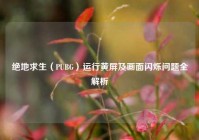 绝地求生（PUBG）运行黄屏及画面闪烁问题全解析