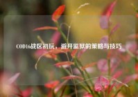 COD16战区初玩，避开监狱的策略与技巧
