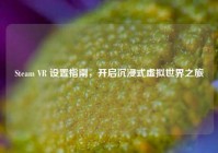Steam VR 设置指南，开启沉浸式虚拟世界之旅