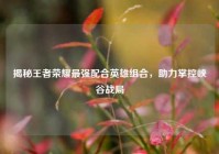 揭秘王者荣耀最强配合英雄组合，助力掌控峡谷战局