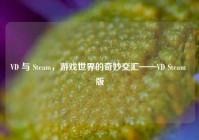 VD 与 Steam，游戏世界的奇妙交汇——VD Steam 版