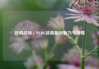 吃鸡战场，PUBG越南服的魅力与激情