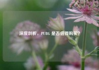 深度剖析，PUBG 是否值得购买？