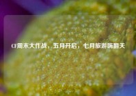 CF周末大作战，五月开启，七月旅游嗨翻天