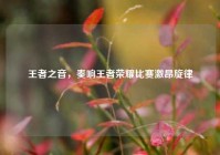 王者之音，奏响王者荣耀比赛激昂旋律
