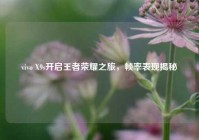 vivo X9s开启王者荣耀之旅，帧率表现揭秘