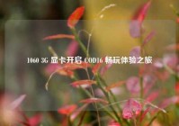 1060 3G 显卡开启 COD16 畅玩体验之旅