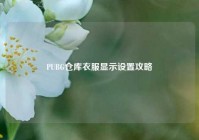 PUBG仓库衣服显示设置攻略