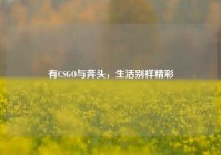 有CSGO与奔头，生活别样精彩