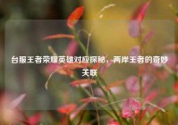 台服王者荣耀英雄对应探秘，两岸王者的奇妙关联