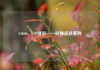 CSGO，USP迷彩——经典皮肤系列