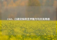 CSGO，口语交际的艺术魅力与交流用语
