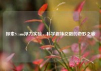 探索Steam浮力实验，科学趣味交融的奇妙之旅