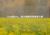 CSGO战队Plus，枪火硝烟中的逐梦之旅