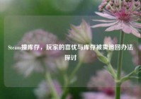Steam撞库存，玩家的喜忧与库存被卖追回办法探讨