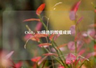 CSGO，M4缔造的辉煌成就