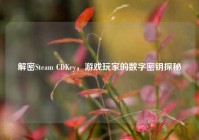 解密Steam CDKey，游戏玩家的数字密钥探秘