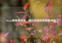 Steam商城加速器，畅玩游戏世界必备神器