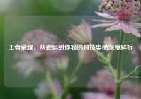 王者荣耀，从底层到体验的科技奥秘深度解析