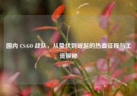 国内 CS:GO 战队，从蛰伏到崛起的热血征程与工资探秘