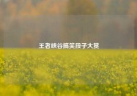 王者峡谷搞笑段子大赏