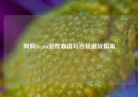 网购Steam游戏靠谱与否及避坑指南