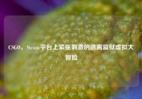 CSGO，Steam平台上紧张刺激的逃离监狱虚拟大冒险