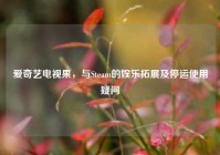 爱奇艺电视果，与Steam的娱乐拓展及停运使用疑问