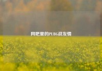 网吧里的PUBG战友情
