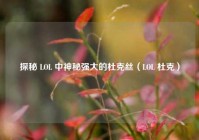 探秘 LOL 中神秘强大的杜克丝（LOL 杜克）