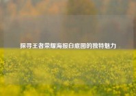 探寻王者荣耀海报白底图的独特魅力