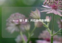 Steam 装 F 盘，开启游戏新体验