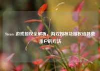 Steam 游戏授权全解析，游戏授权及授权给其他用户的方法
