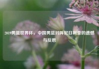 2019男篮世界杯，中国男篮对阵尼日利亚的遗憾与反思
