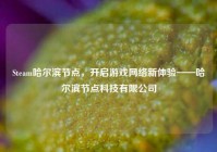 Steam哈尔滨节点，开启游戏网络新体验——哈尔滨节点科技有限公司