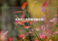 木梓的王者荣耀荣耀征程