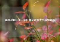 暴雪战网 COD16 客户端及游戏大小详细解析