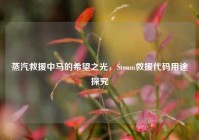 蒸汽救援中马的希望之光，Steam救援代码用途探究