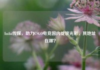 Imba传媒，助力CSGO电竞国内绽放光彩，其地址在哪？