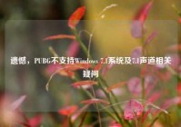 遗憾，PUBG不支持Windows 7.1系统及7.1声道相关疑问