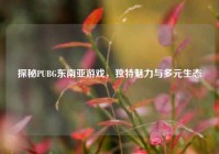 探秘PUBG东南亚游戏，独特魅力与多元生态